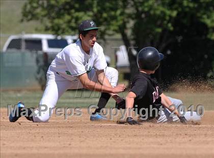 Thumbnail 3 in Dunsmuir vs. Princeton (CIF NS D6 Final) photogallery.