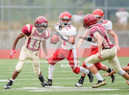 Thumbnail 2 in Stanwood @ Cavalero photogallery.