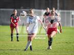 Photo from the gallery "West @ Alta"