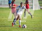 Photo from the gallery "West @ Alta"