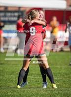 Photo from the gallery "West @ Alta"