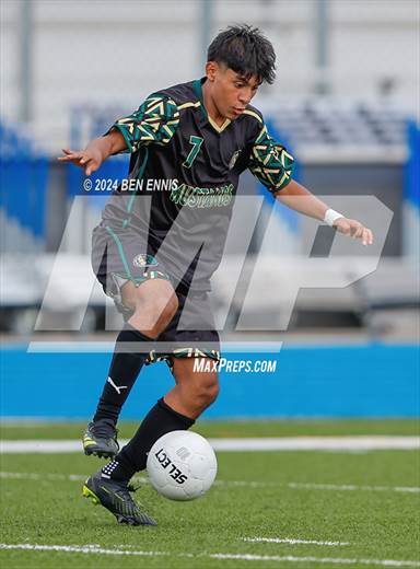 null - Photo 11