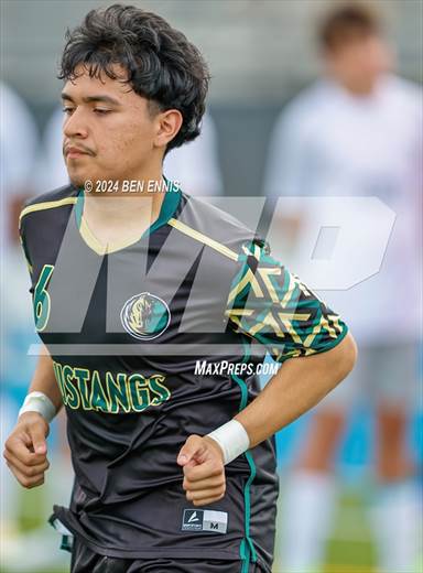 null - Photo 11