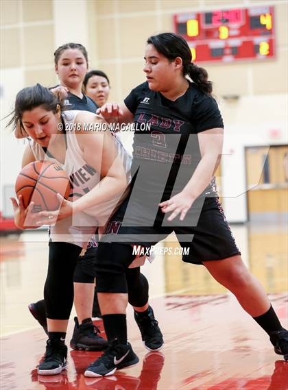 Thumbnail 3 in Donna North @ Palmview photogallery.