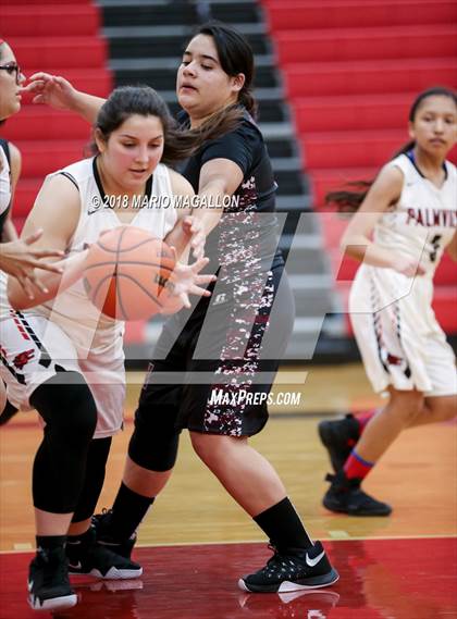 Thumbnail 3 in Donna North @ Palmview photogallery.