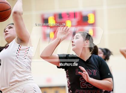 Thumbnail 2 in Donna North @ Palmview photogallery.