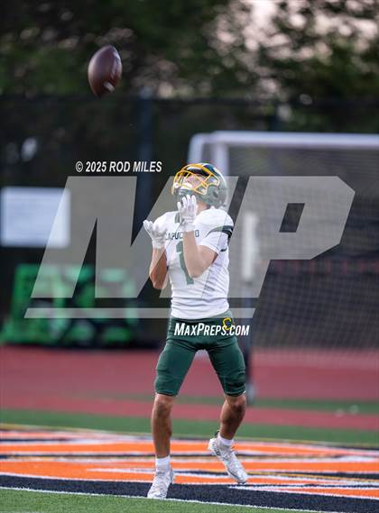 Thumbnail 3 in Capuchino @ Woodside photogallery.