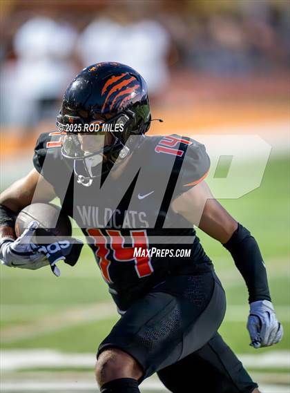 Thumbnail 3 in Capuchino @ Woodside photogallery.