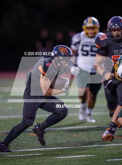 Thumbnail 1 in Capuchino @ Woodside photogallery.