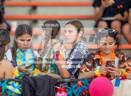 Thumbnail 2 in Capuchino @ Woodside photogallery.