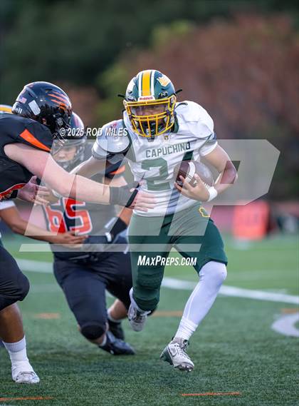 Thumbnail 1 in Capuchino @ Woodside photogallery.