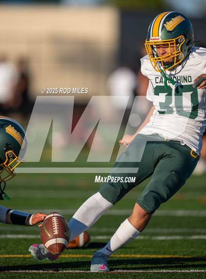 Thumbnail 1 in Capuchino @ Woodside photogallery.