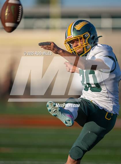 Thumbnail 3 in Capuchino @ Woodside photogallery.