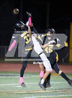 Photo from the gallery "Acalanes @ Granada"