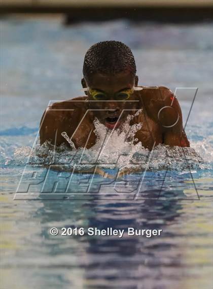 Thumbnail 1 in Trumbull vs. Darien photogallery.