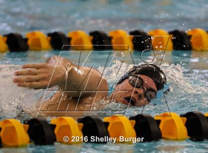 Thumbnail 1 in Trumbull vs. Darien photogallery.