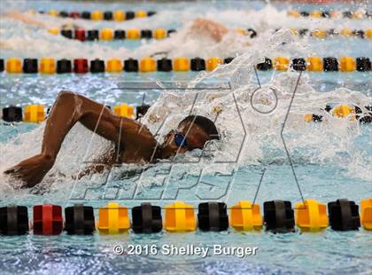 Thumbnail 3 in Trumbull vs. Darien photogallery.