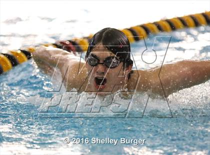 Thumbnail 1 in Trumbull vs. Darien photogallery.