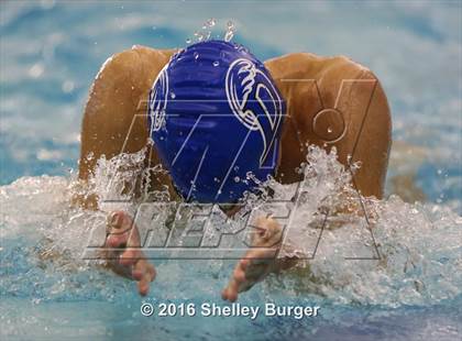 Thumbnail 1 in Trumbull vs. Darien photogallery.