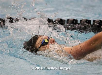 Thumbnail 3 in Trumbull vs. Darien photogallery.