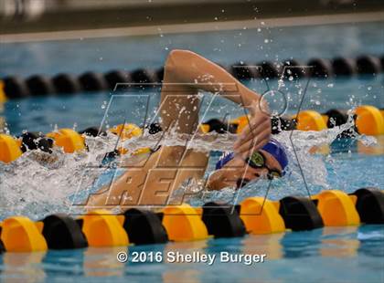Thumbnail 2 in Trumbull vs. Darien photogallery.