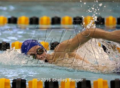Thumbnail 3 in Trumbull vs. Darien photogallery.