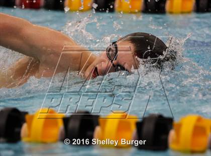 Thumbnail 2 in Trumbull vs. Darien photogallery.
