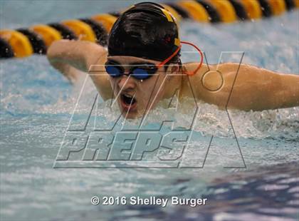 Thumbnail 2 in Trumbull vs. Darien photogallery.