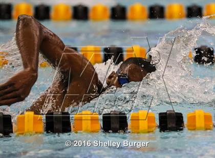 Thumbnail 1 in Trumbull vs. Darien photogallery.