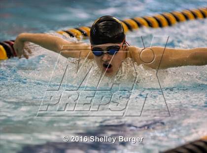 Thumbnail 1 in Trumbull vs. Darien photogallery.