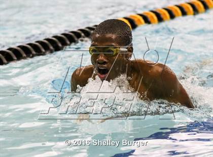 Thumbnail 1 in Trumbull vs. Darien photogallery.
