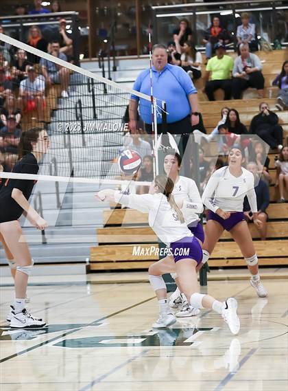 Thumbnail 2 in Salinas vs. Los Gatos (CIFCCS D1 Championship) photogallery.
