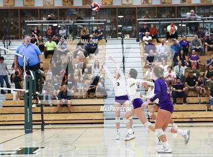 Thumbnail 2 in Salinas vs. Los Gatos (CIFCCS D1 Championship) photogallery.