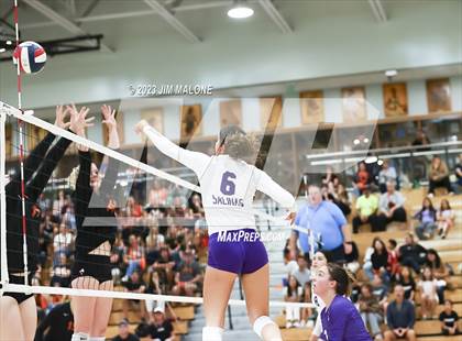 Thumbnail 1 in Salinas vs. Los Gatos (CIFCCS D1 Championship) photogallery.