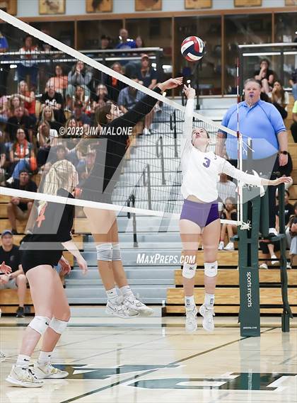 Thumbnail 3 in Salinas vs. Los Gatos (CIFCCS D1 Championship) photogallery.