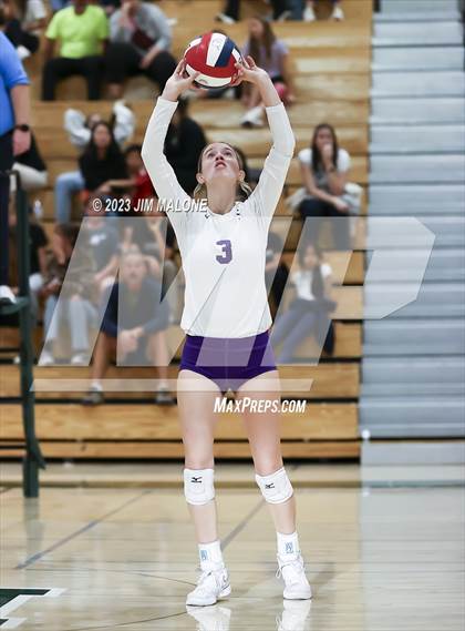 Thumbnail 2 in Salinas vs. Los Gatos (CIFCCS D1 Championship) photogallery.
