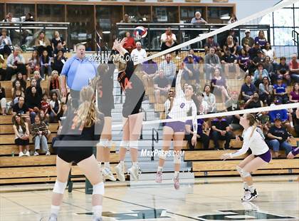 Thumbnail 1 in Salinas vs. Los Gatos (CIFCCS D1 Championship) photogallery.