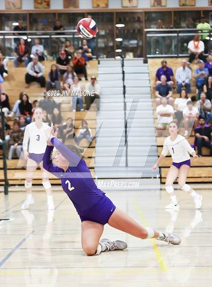 Thumbnail 3 in Salinas vs. Los Gatos (CIFCCS D1 Championship) photogallery.