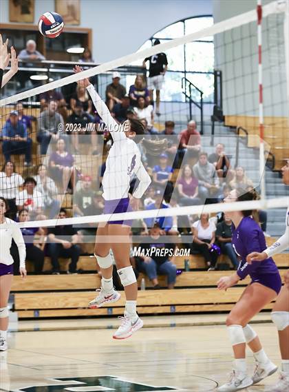 Thumbnail 2 in Salinas vs. Los Gatos (CIFCCS D1 Championship) photogallery.