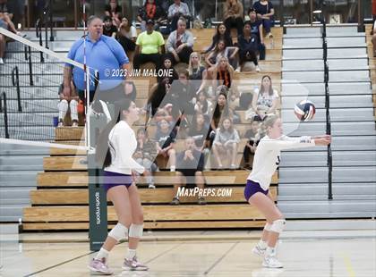 Thumbnail 1 in Salinas vs. Los Gatos (CIFCCS D1 Championship) photogallery.