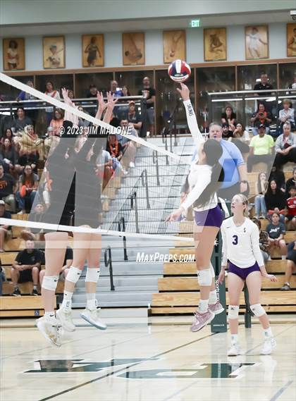 Thumbnail 3 in Salinas vs. Los Gatos (CIFCCS D1 Championship) photogallery.