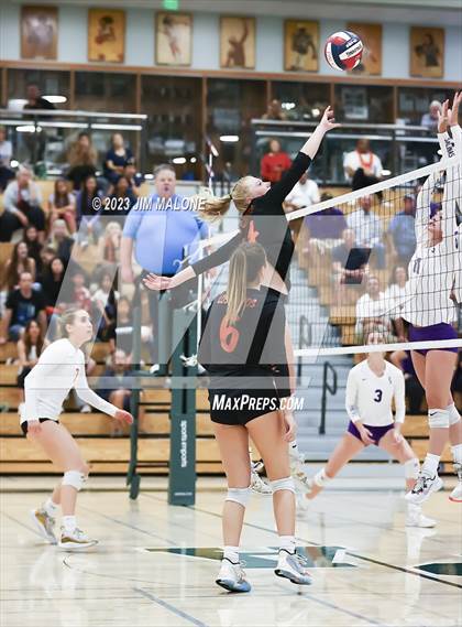 Thumbnail 3 in Salinas vs. Los Gatos (CIFCCS D1 Championship) photogallery.