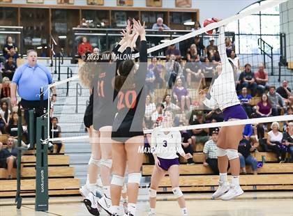 Thumbnail 3 in Salinas vs. Los Gatos (CIFCCS D1 Championship) photogallery.
