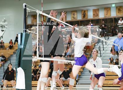 Thumbnail 3 in Salinas vs. Los Gatos (CIFCCS D1 Championship) photogallery.