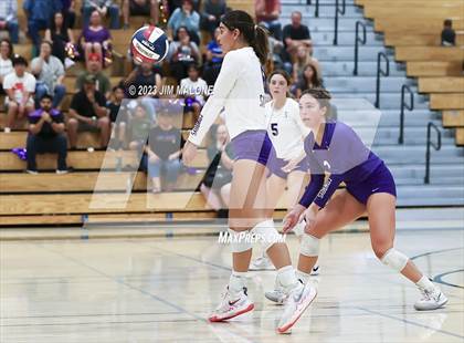 Thumbnail 2 in Salinas vs. Los Gatos (CIFCCS D1 Championship) photogallery.