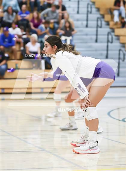 Thumbnail 2 in Salinas vs. Los Gatos (CIFCCS D1 Championship) photogallery.