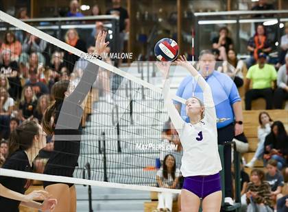 Thumbnail 3 in Salinas vs. Los Gatos (CIFCCS D1 Championship) photogallery.