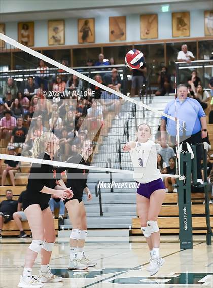 Thumbnail 2 in Salinas vs. Los Gatos (CIFCCS D1 Championship) photogallery.