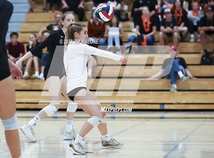 Thumbnail 1 in Salinas vs. Los Gatos (CIFCCS D1 Championship) photogallery.