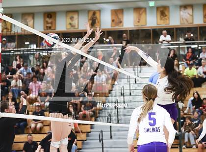Thumbnail 3 in Salinas vs. Los Gatos (CIFCCS D1 Championship) photogallery.